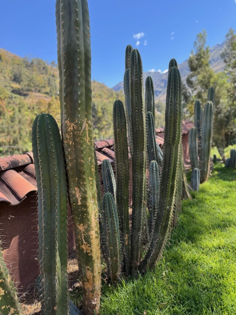 A row of
columns casting long shadows along an adobe wall.