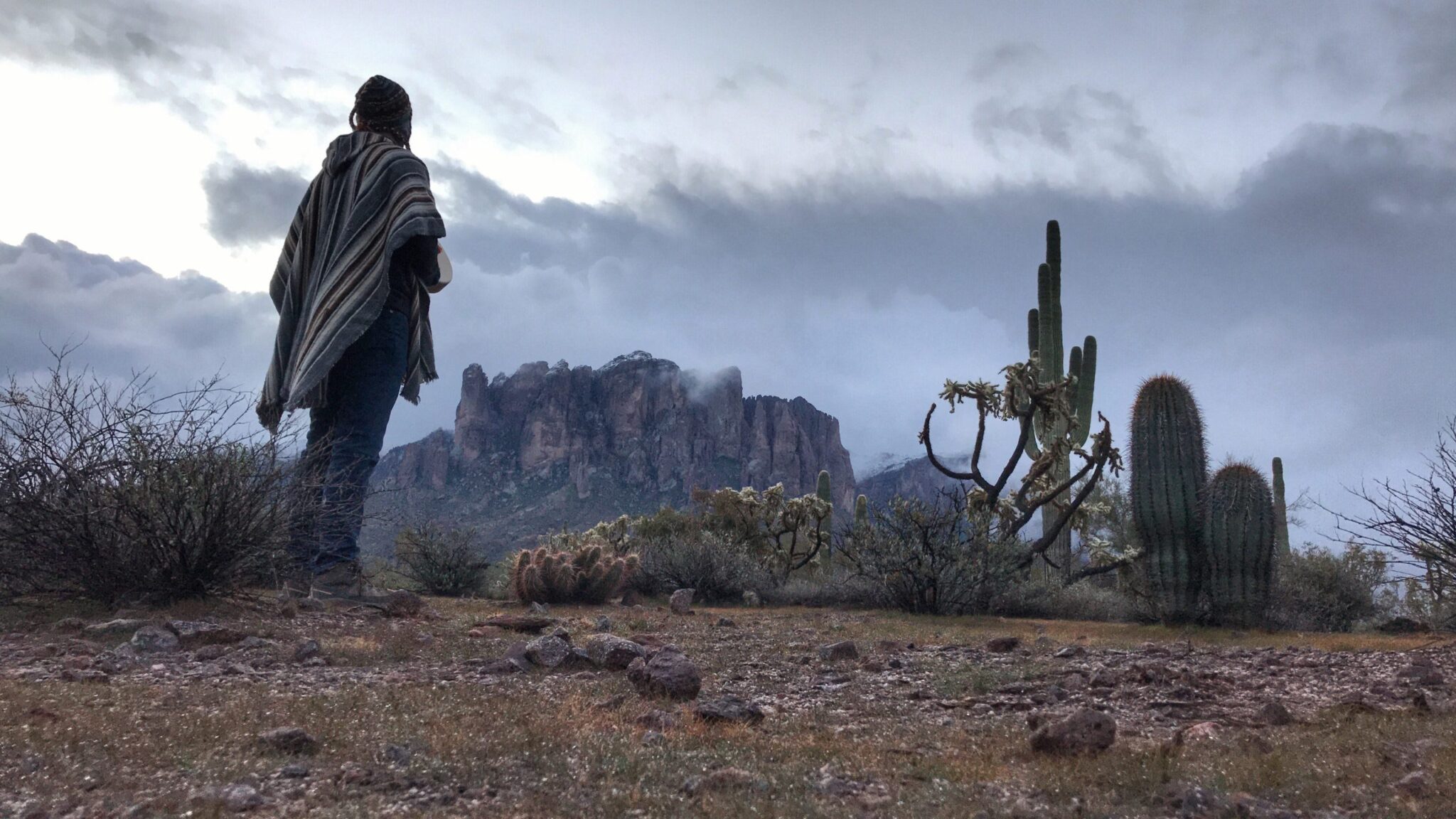 A figure in a striped poncho stands among saguaro and cholla, looking toward the far hills.